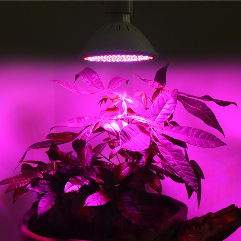 20W E27 166 Red 34 Blue LED Grow Light Plant Lamp Bulb Garden Greenhouse Plant Seedling Light