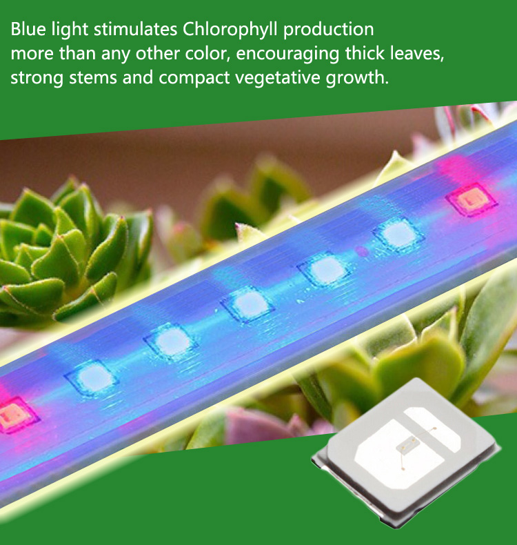 ZX 10pcs 0.2W SMD2835 Blue Light Plant Growing LED Lamp Chip Garden Greenhouse Seedling Lights