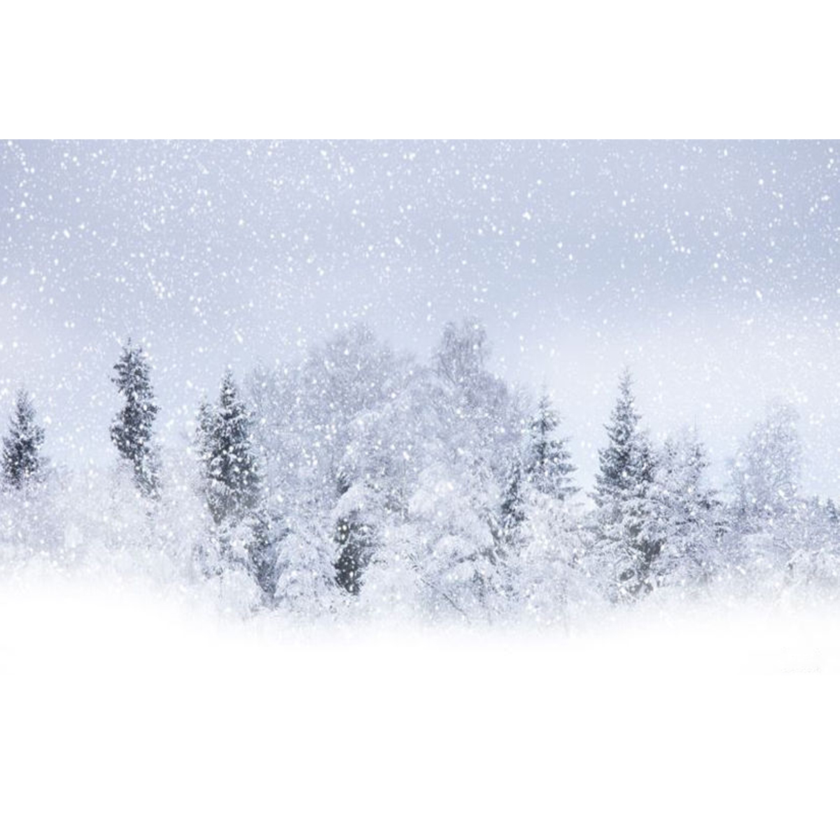 2.1x1.5m Snow Covered Forest Snow Covered Photographic Background